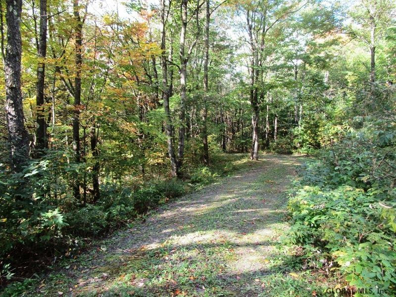 O Arabia Road, Unit STATE HIGHWAY 10 Summit, NY 12175 - Photo 1 of 20 Photo 1