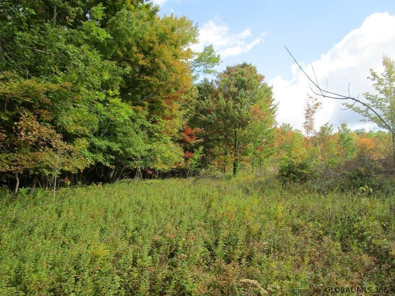 O Arabia Road, Unit STATE HIGHWAY 10 Summit, NY 12175 - Photo 12 of 20 Photo 12