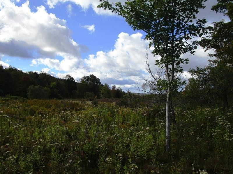 O Arabia Road, Unit STATE HIGHWAY 10 Summit, NY 12175 - Photo 13 of 20 Photo 13