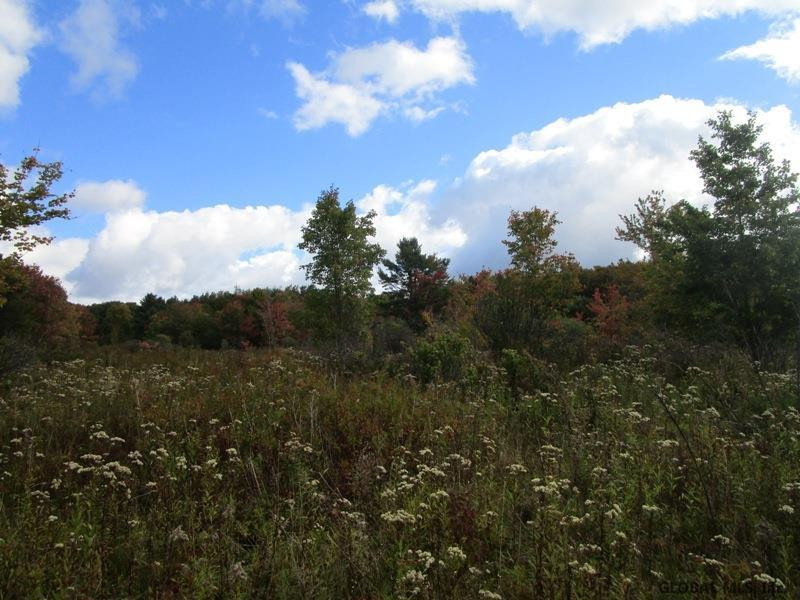 O Arabia Road, Unit STATE HIGHWAY 10 Summit, NY 12175 - Photo 14 of 20 Photo 14