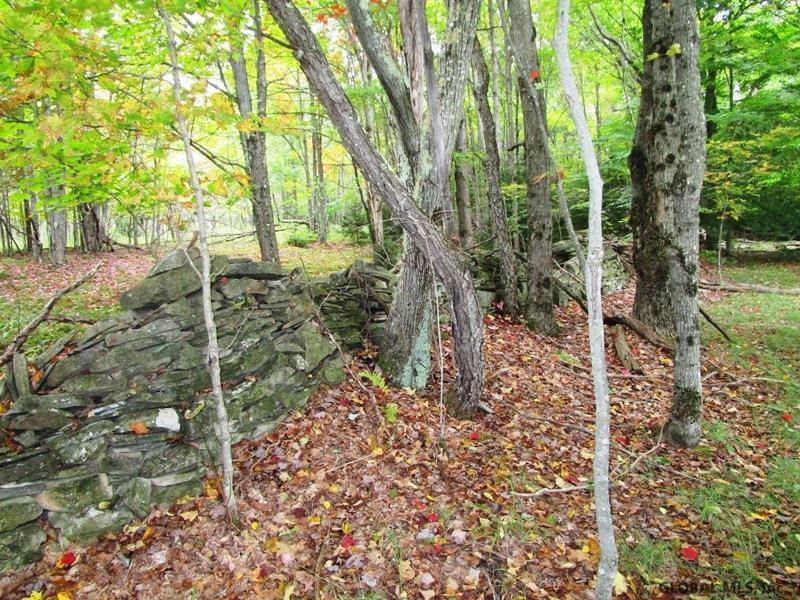 O Arabia Road, Unit STATE HIGHWAY 10 Summit, NY 12175 - Photo 15 of 20 Photo 15