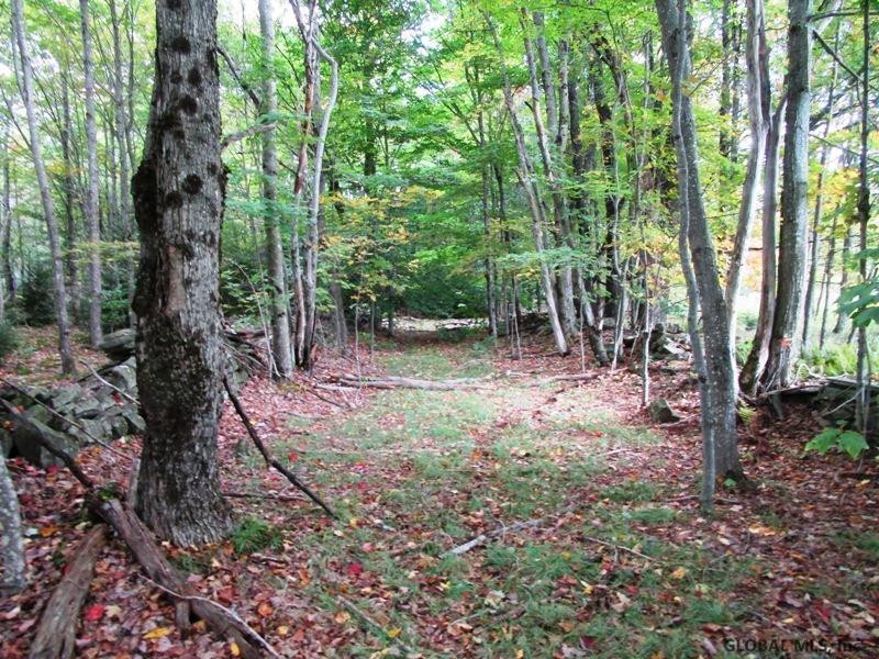 O Arabia Road, Unit STATE HIGHWAY 10 Summit, NY 12175 - Photo 16 of 20 Photo 16