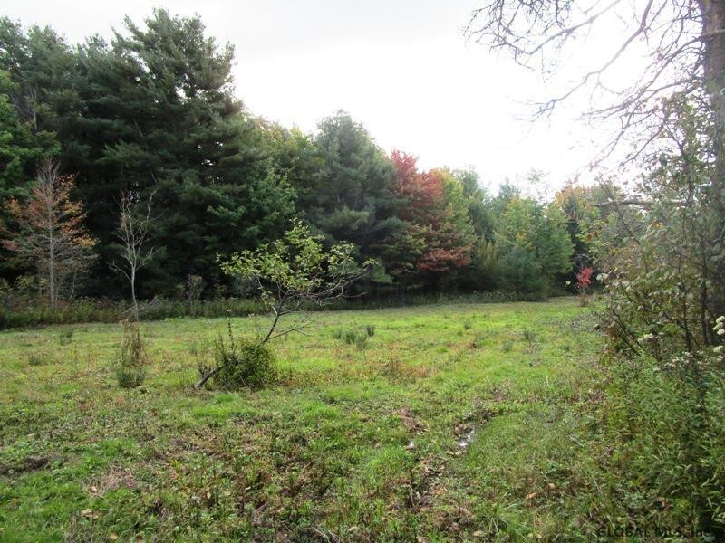 O Arabia Road, Unit STATE HIGHWAY 10 Summit, NY 12175 - Photo 18 of 20 Photo 18