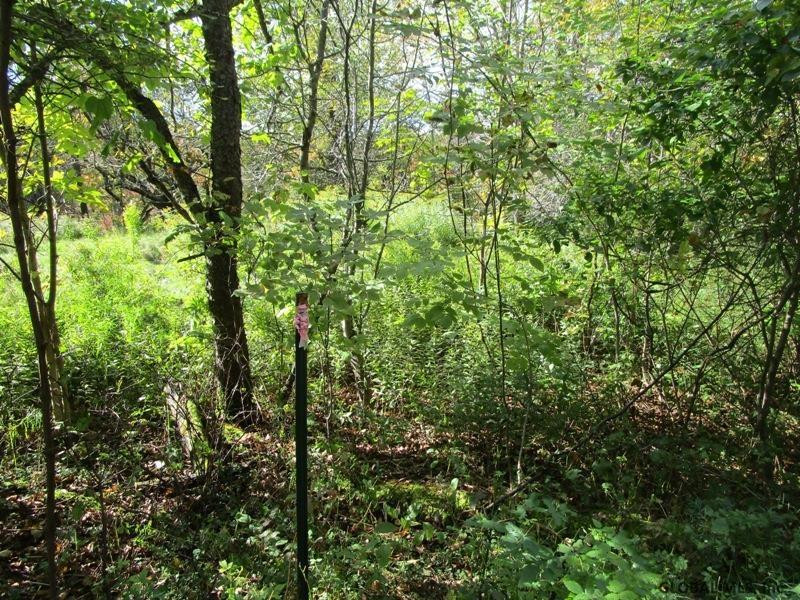 O Arabia Road, Unit STATE HIGHWAY 10 Summit, NY 12175 - Photo 2 of 20 Photo 2