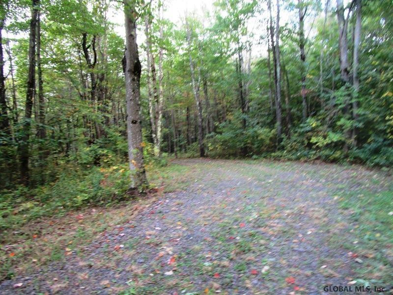O Arabia Road, Unit STATE HIGHWAY 10 Summit, NY 12175 - Photo 4 of 20 Photo 4