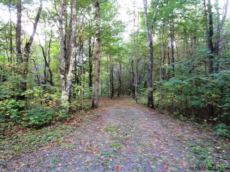 O Arabia Road, Unit STATE HIGHWAY 10 Summit, NY 12175 - Photo 5 of 20 Photo 5