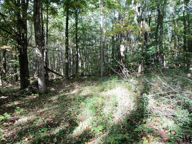 O Arabia Road, Unit STATE HIGHWAY 10 Summit, NY 12175 - Photo 6 of 20 Photo 6