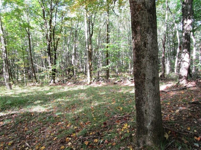 O Arabia Road, Unit STATE HIGHWAY 10 Summit, NY 12175 - Photo 7 of 20 Photo 7