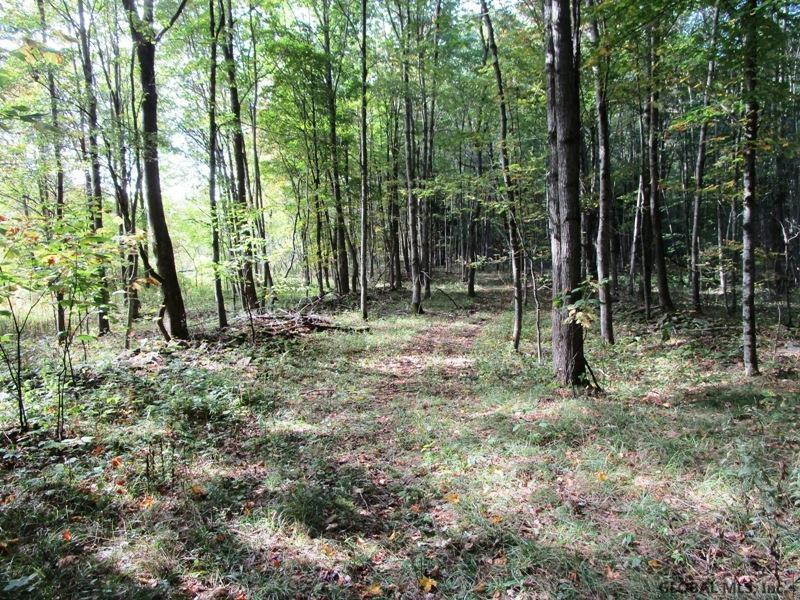 O Arabia Road, Unit STATE HIGHWAY 10 Summit, NY 12175 - Photo 9 of 20 Photo 9