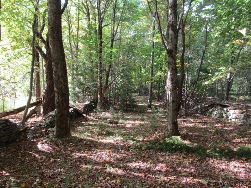 O Arabia Road, Unit STATE HIGHWAY 10 Summit, NY 12175 - Photo 10 of 20 Photo 10