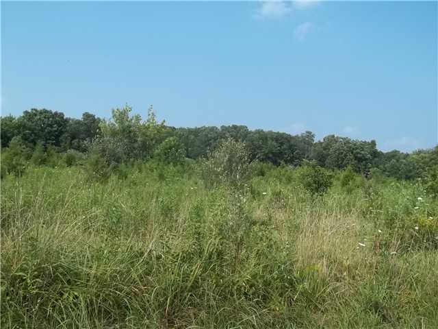 1 Locust Road Hillsboro, OH 45133 - Photo 2 of 4