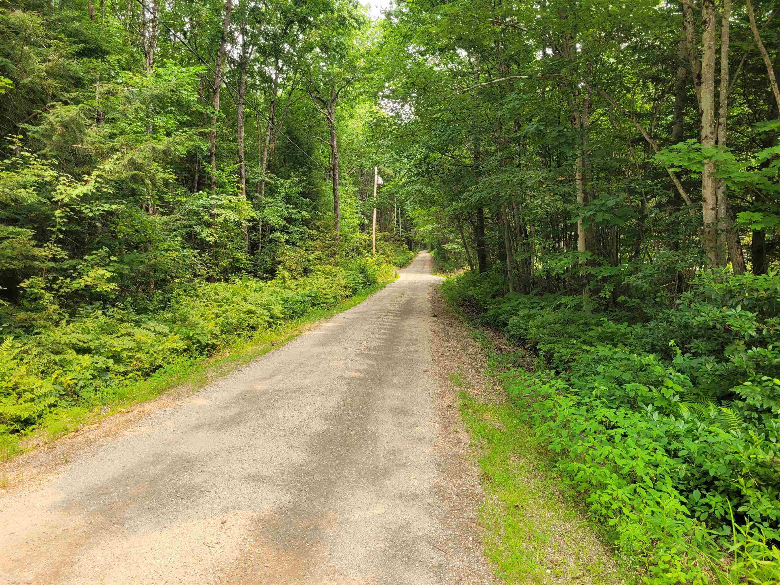 54 Fullam Pond Road Winchester, NH 03470 - Photo 5 of 6