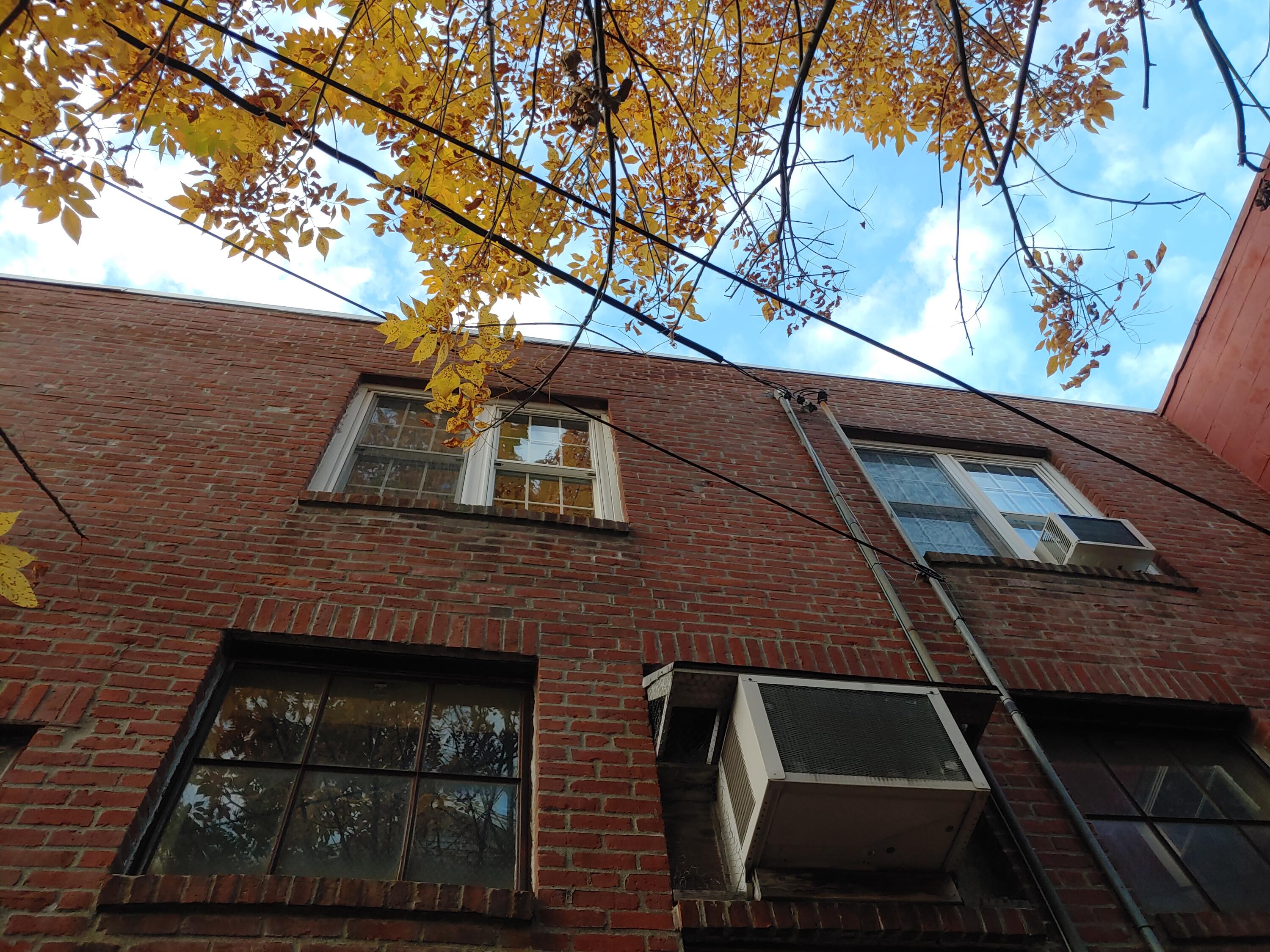 93 Main Street Ellsworth, ME 04605 - Photo 42 of 54 backyard 1