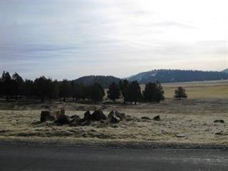 0 Murrelet Road Klamath Falls, OR 97601 - Photo 2 of 3 Additional Photo