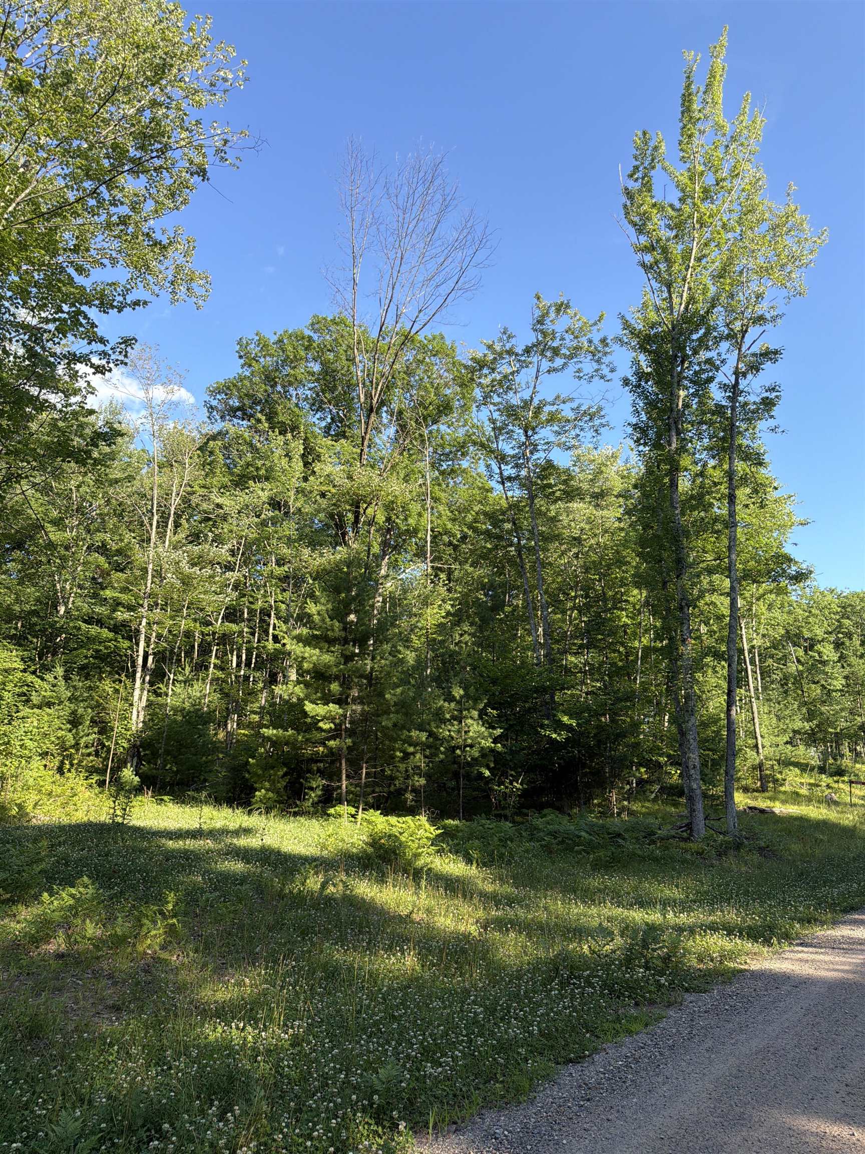 Lot 8 Rhett Lane, Unit 8 Wausaukee, WI 54177 - Photo 16 of 16