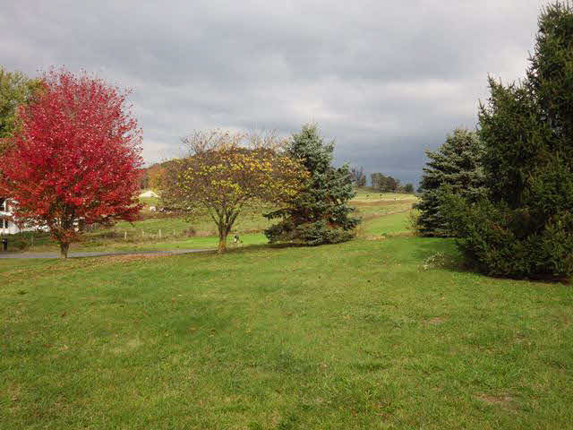 555 Madrid Road Waynesboro, VA 22980 - Photo 8 of 18 a view of a field with an trees