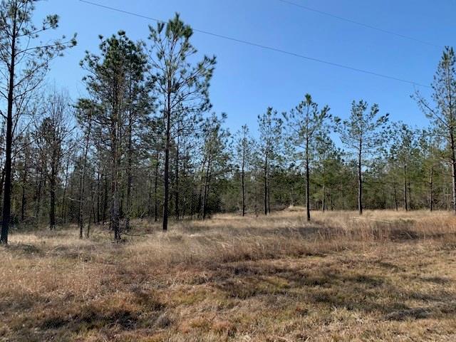 L A McFatter Road Ragley, LA 70657 - Photo 2 of 7