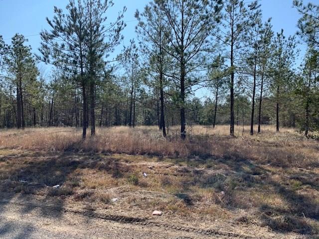 L A McFatter Road Ragley, LA 70657 - Photo 3 of 7
