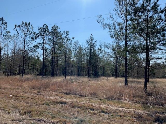 L A McFatter Road Ragley, LA 70657 - Photo 4 of 7