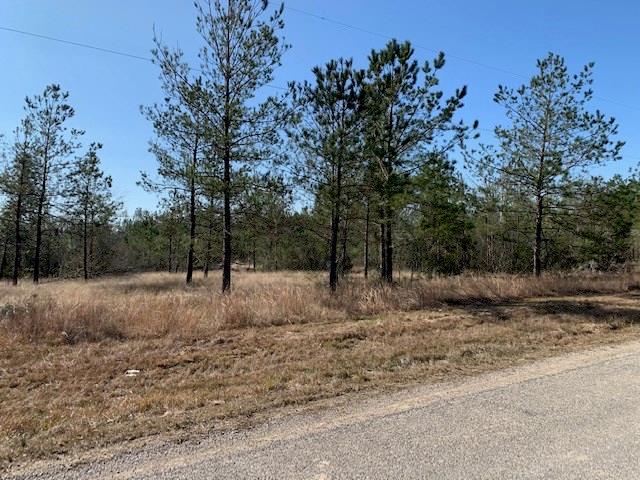 L A McFatter Road Ragley, LA 70657 - Photo 5 of 7