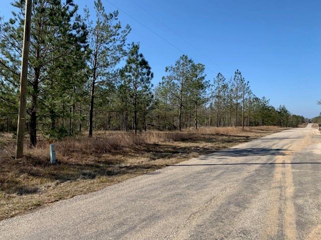 L A McFatter Road Ragley, LA 70657 - Photo 7 of 7