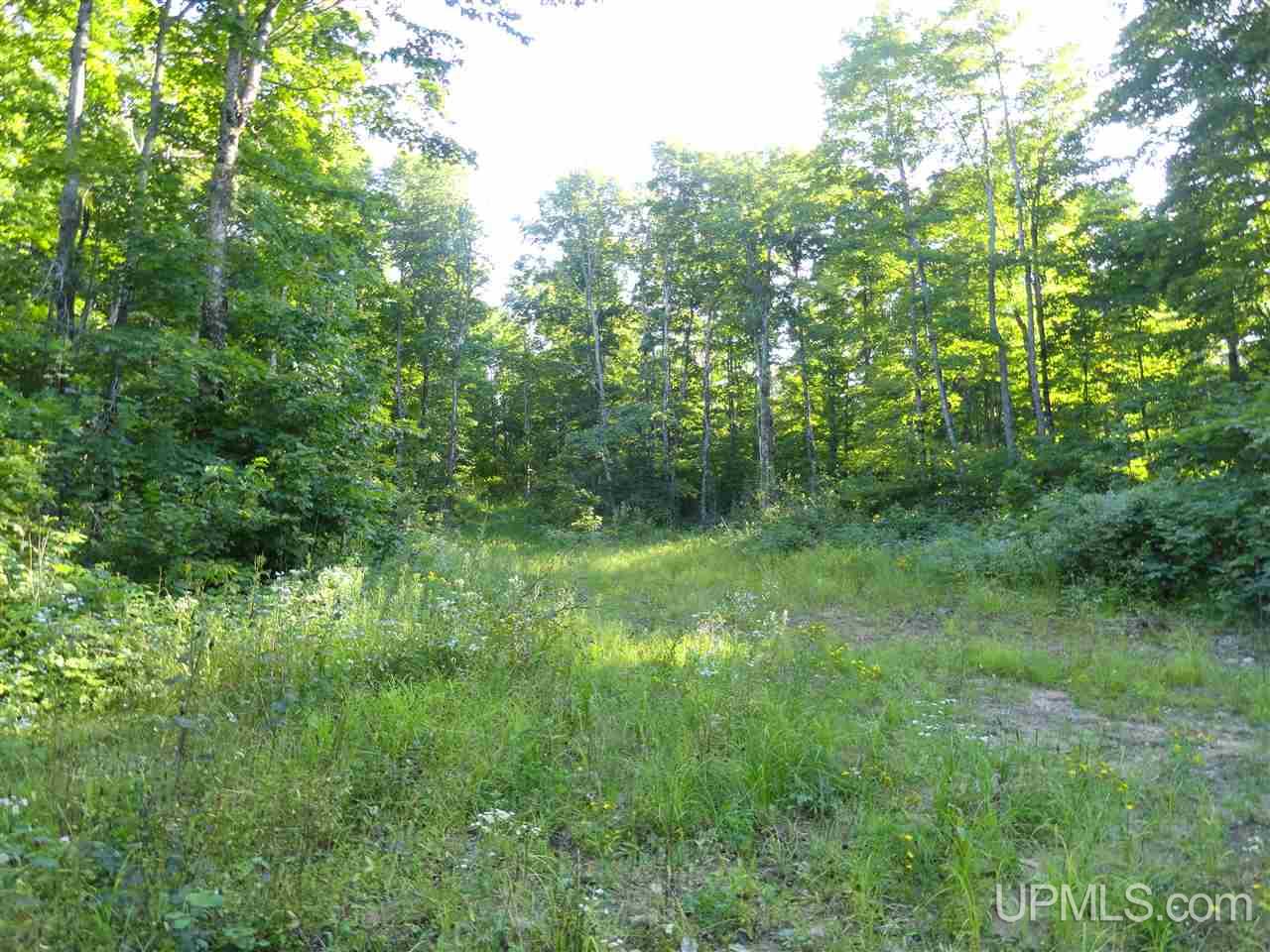 80 SOUTH Off Co Road Ishpeming, MI 49849 - Photo 6 of 20