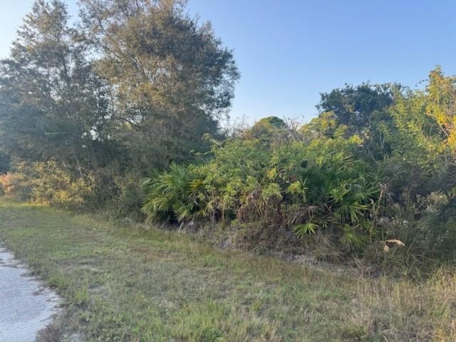 375 Carole Road Northwest Lake Placid, FL 33852 - Photo 2 of 2 a view of a yard with a tree