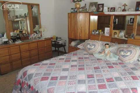 4520 Lone Road Freeland, MI 48623 - Photo 10 of 28 20429228-9.JPG