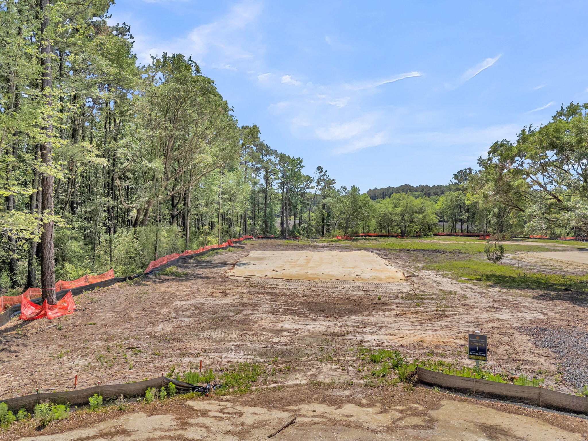 1150 Theodore Brunson Road Awendaw, SC 29429 - Photo 4 of 10 CREM - 0 Theodore Brunson Rd-1