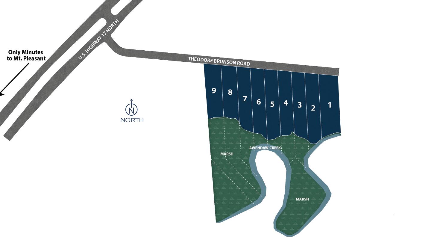 1150 Theodore Brunson Road Awendaw, SC 29429 - Photo 10 of 10 Site Map for MLS