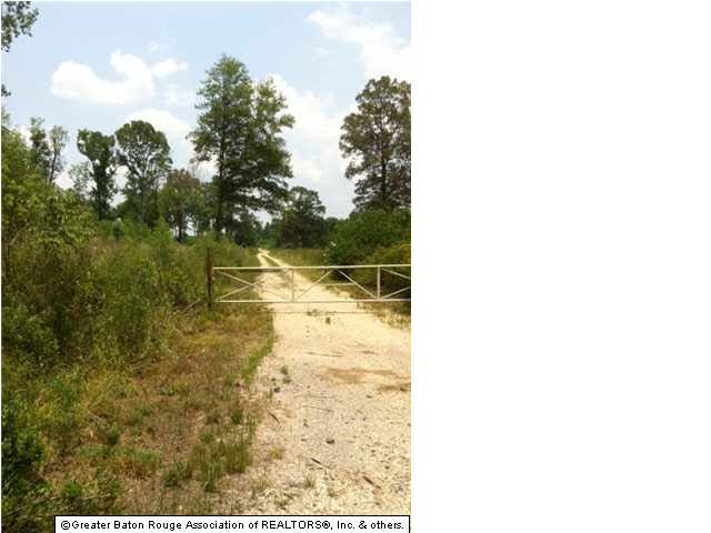 432.3 Duff Road Walker, LA 70785 - Photo 1 of 1 Gallery Image 1