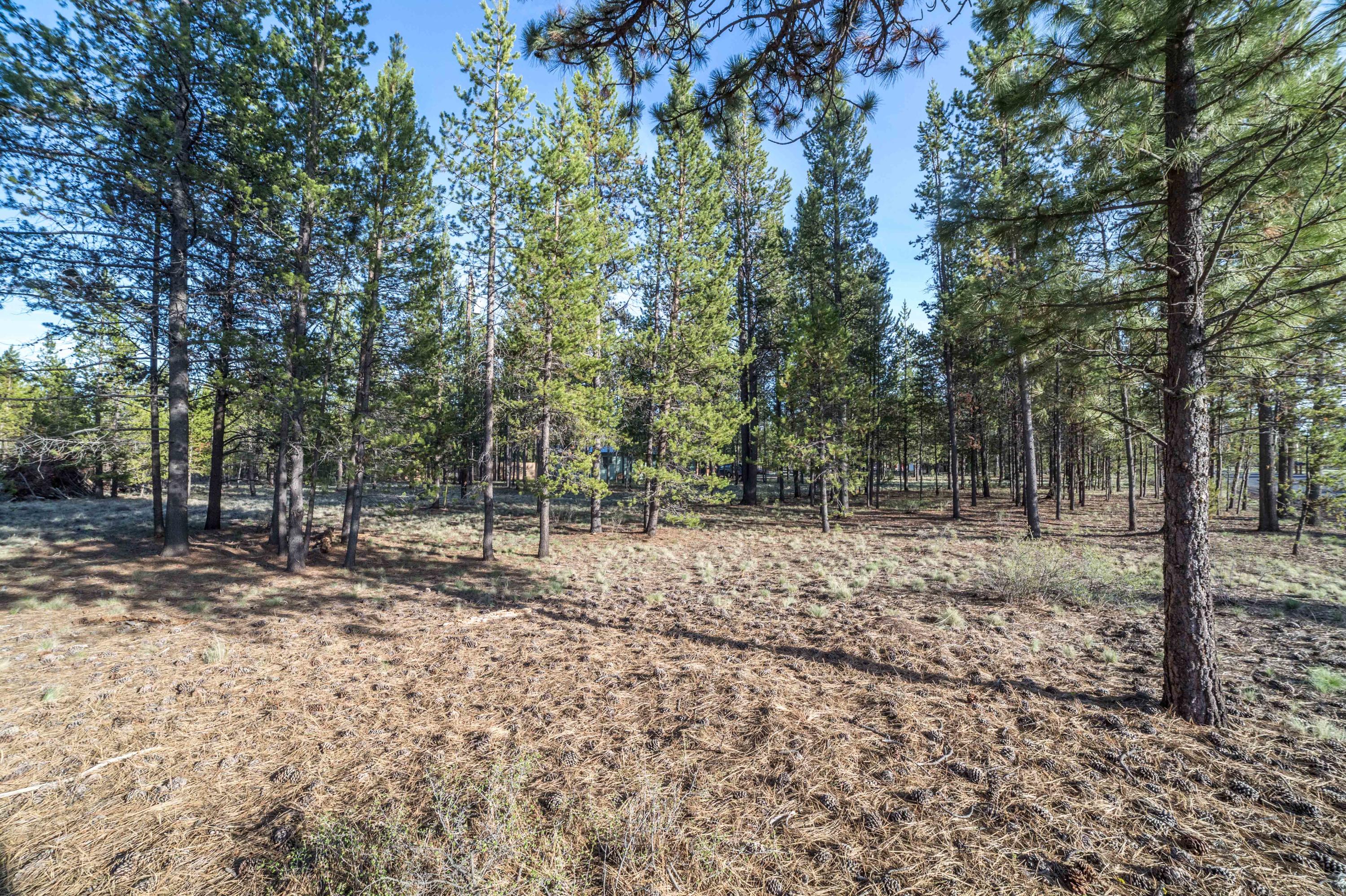 54920 Huntington Road Bend, OR 97707 - Photo 20 of 32 Huntington Property-2