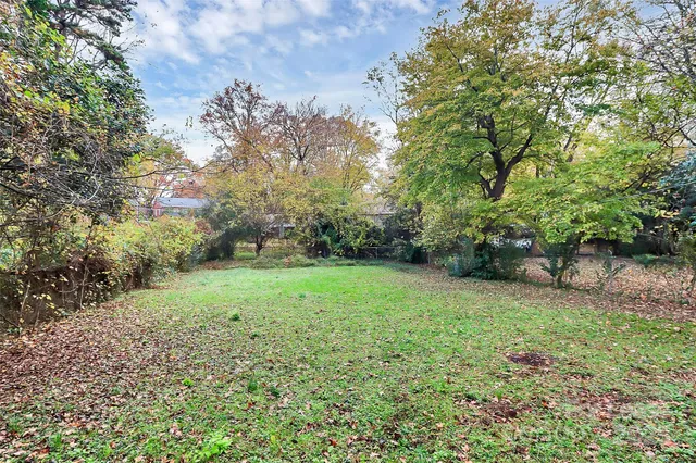 a view of a yard with a tree