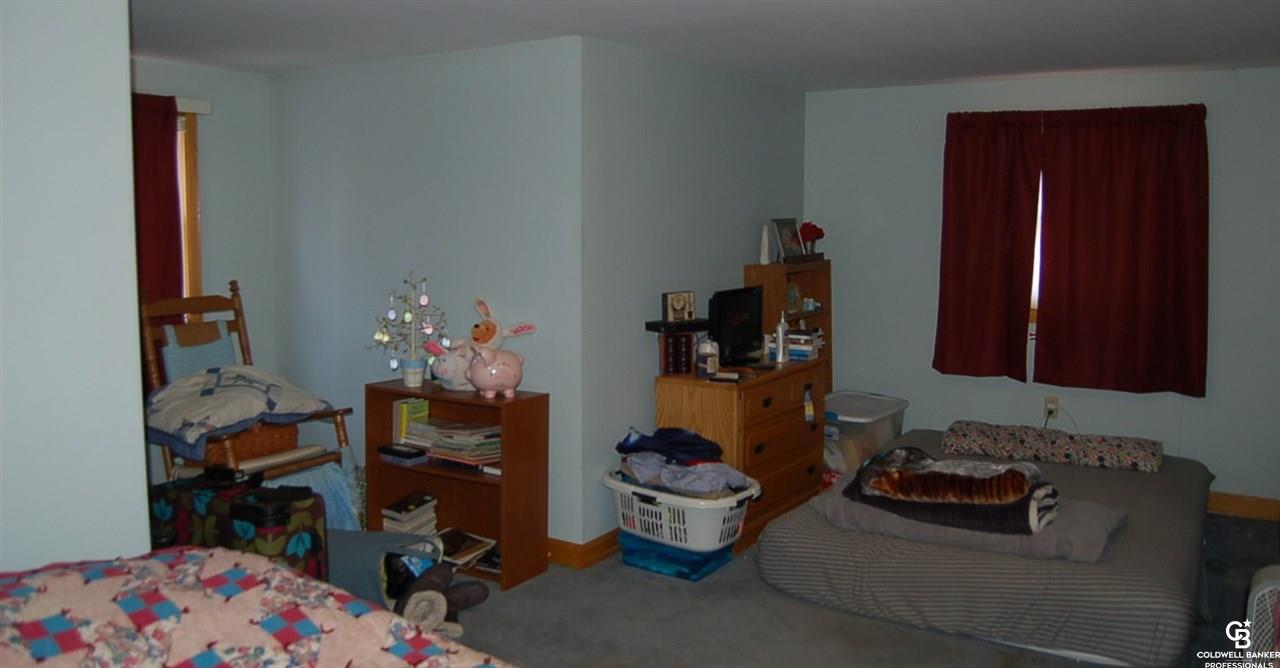 13401 Briggs Road Chesaning, MI 48616 - Photo 35 of 44 31375393-34.JPG
