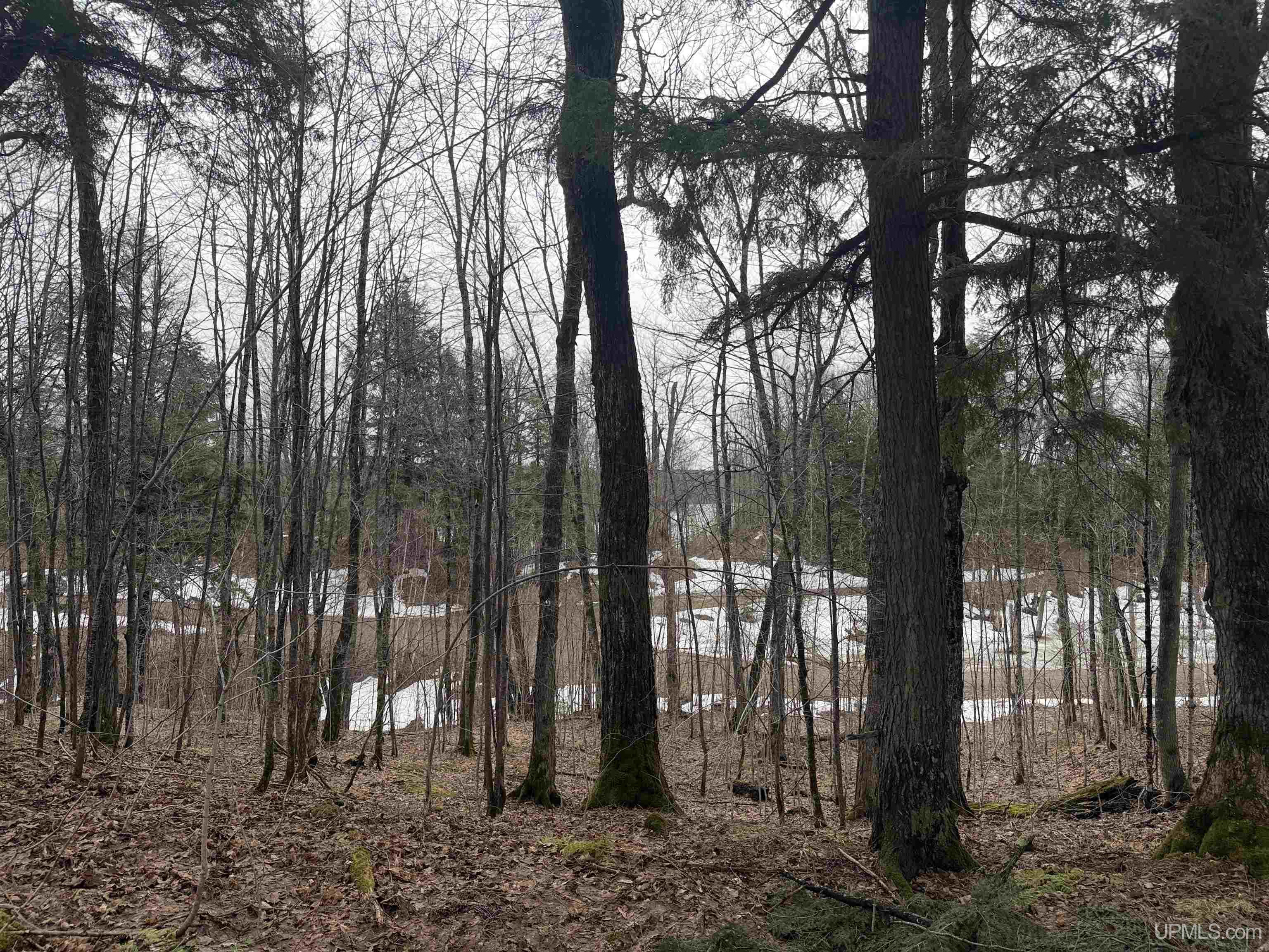 18 Chaney Lake Road Wakefield, MI 49968 - Photo 23 of 37