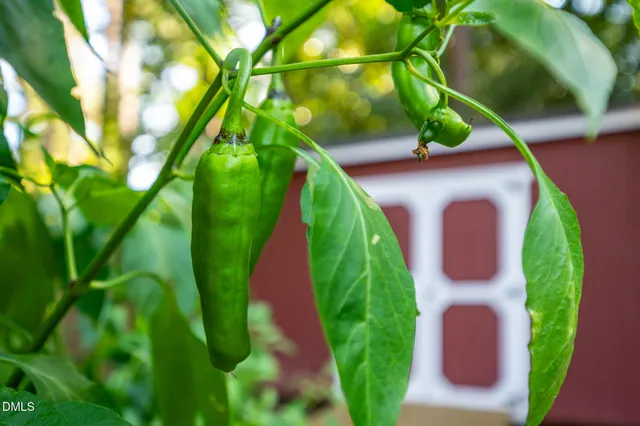 $824,000 | 2116 Pershing Street, Durham, NC 27705