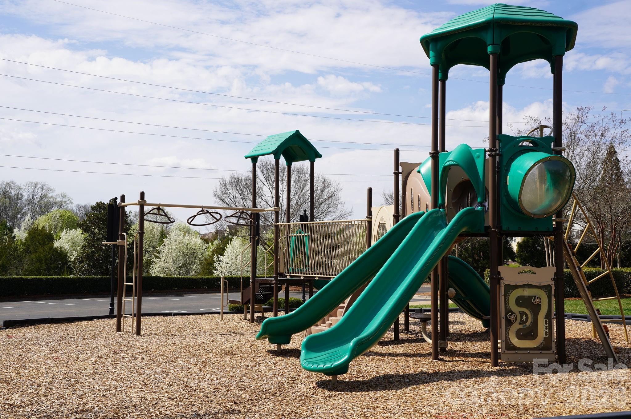 4029 Spring Garden Street Fort Mill, SC 29715 - Photo 44 of 48 a view of a park with a slide