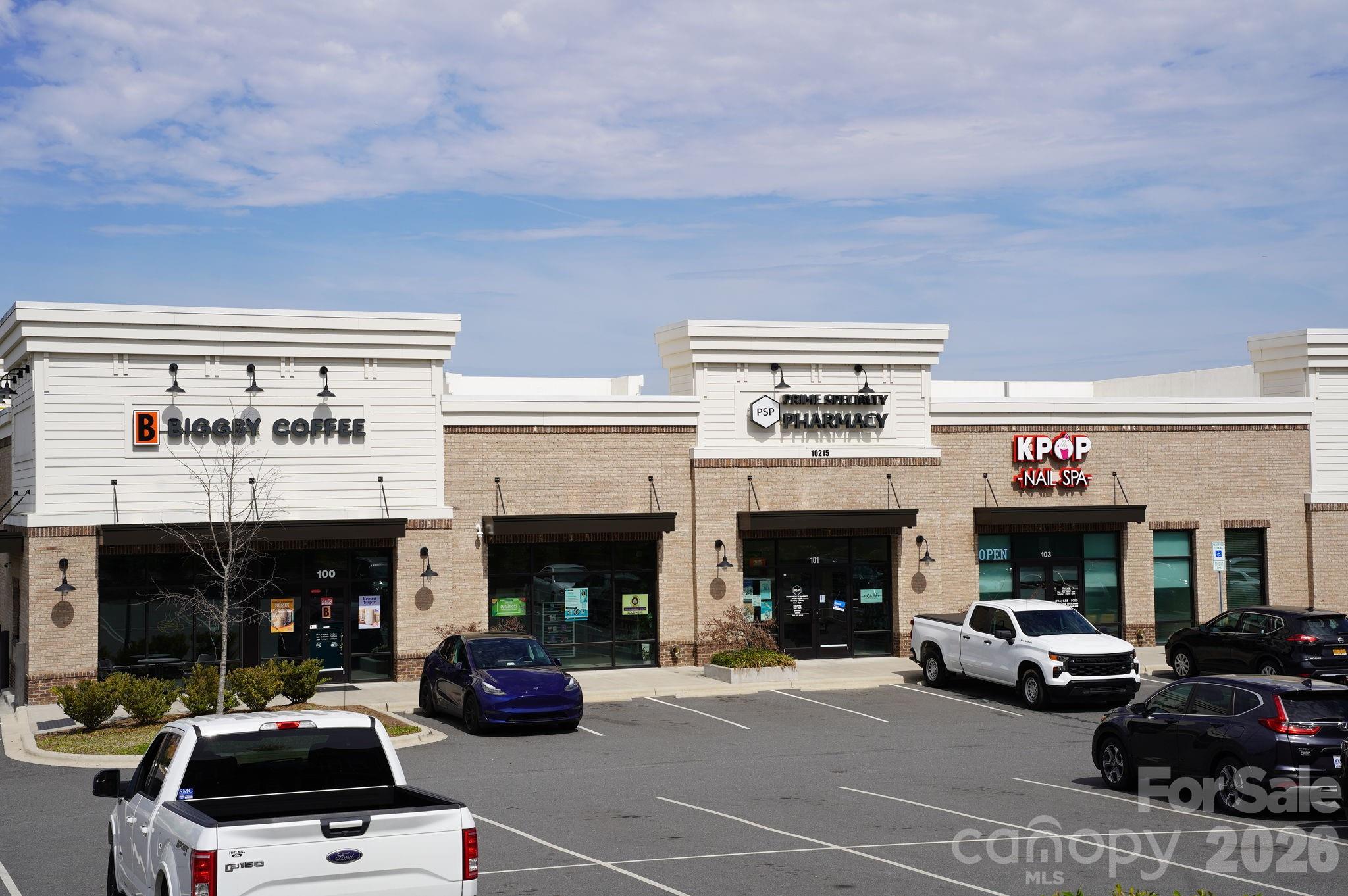 4029 Spring Garden Street Fort Mill, SC 29715 - Photo 48 of 48 a living room with furniture and a fireplace