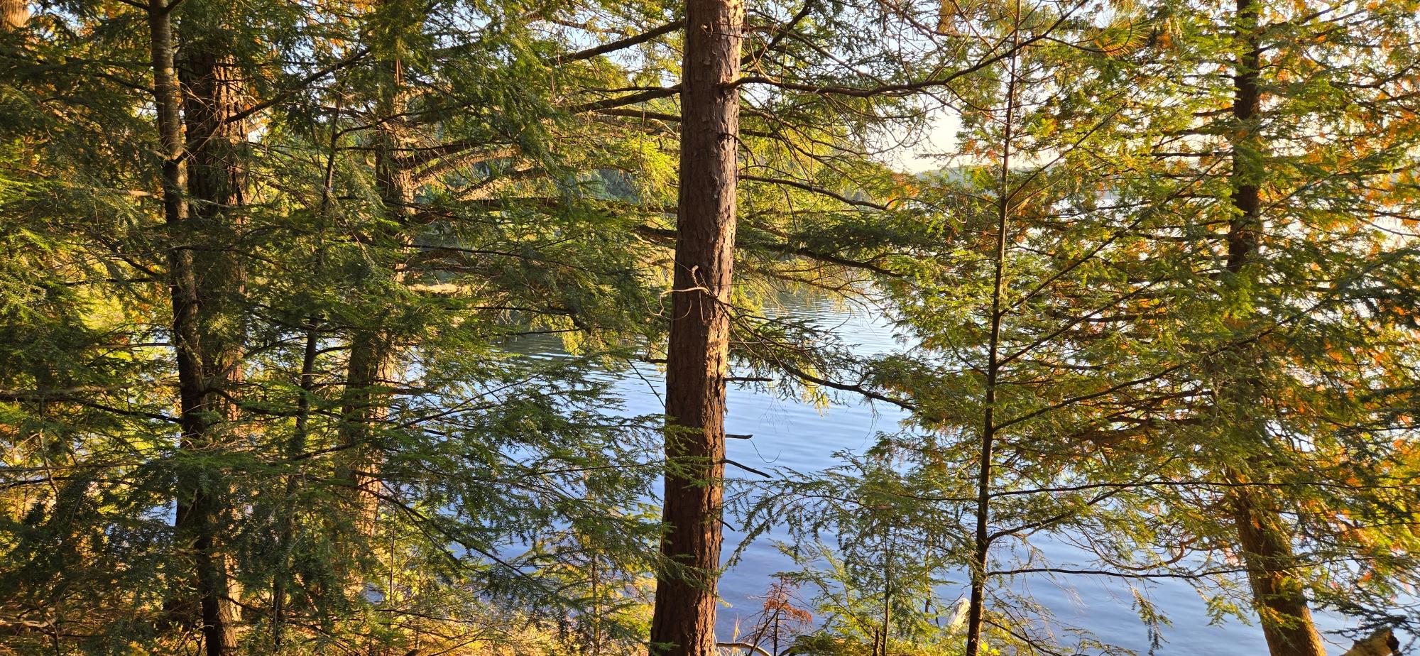 Lot 1 Bartsch Road Presque Isle, WI 54557 - Photo 1 of 50 Gallery Image 1