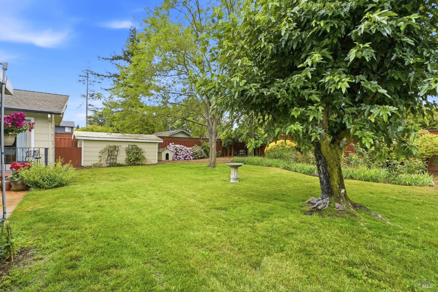 373 Piezzi Road Santa Rosa, CA 95401 - Photo 36 of 55 a view of a house with a big yard and large trees