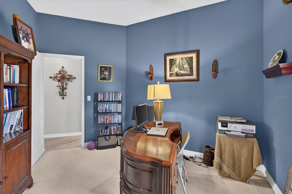 5336 Watson Road Riverview, FL 33578 - Photo 56 of 87 Gallery Image 56
