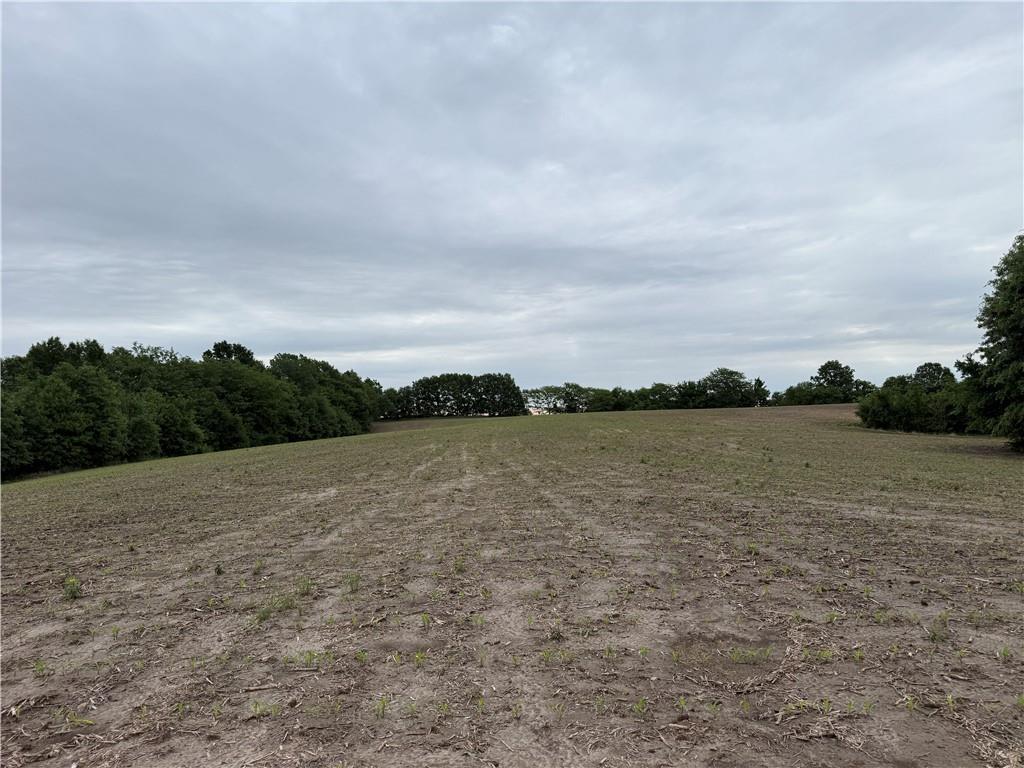 Cotton Road Purdin, MO 64674 - Photo 5 of 14