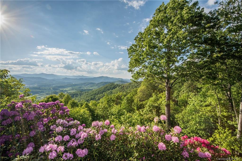 600 Brandywine Road, Unit 7 Waynesville, NC 28786 - Photo 20 of 20