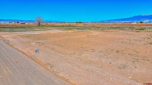 a view of beach and ocean