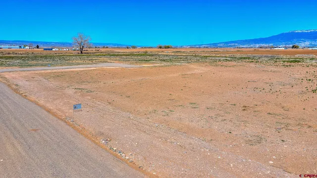 a view of beach and ocean