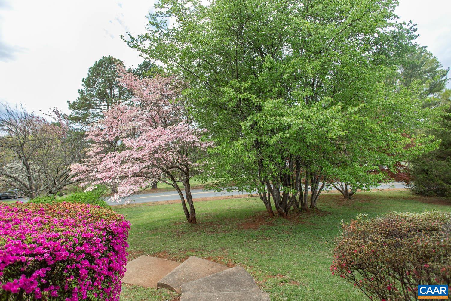 2750 Meriwether Drive Charlottesville, VA 22901 - Photo 8 of 52 a view of backyard with tree