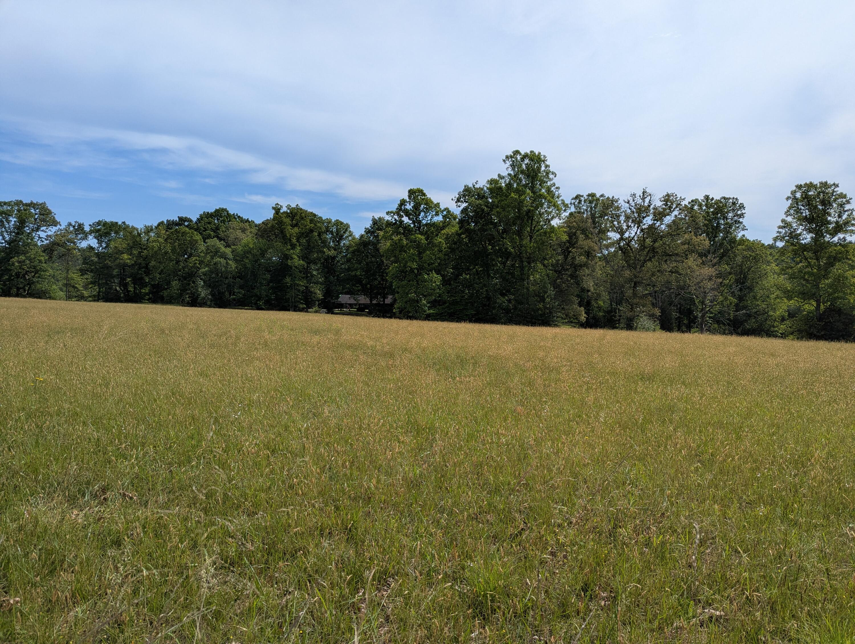 1115 Robin Ridge Road Henry, VA 24102 - Photo 37 of 45 PXL_20260530_142751215
