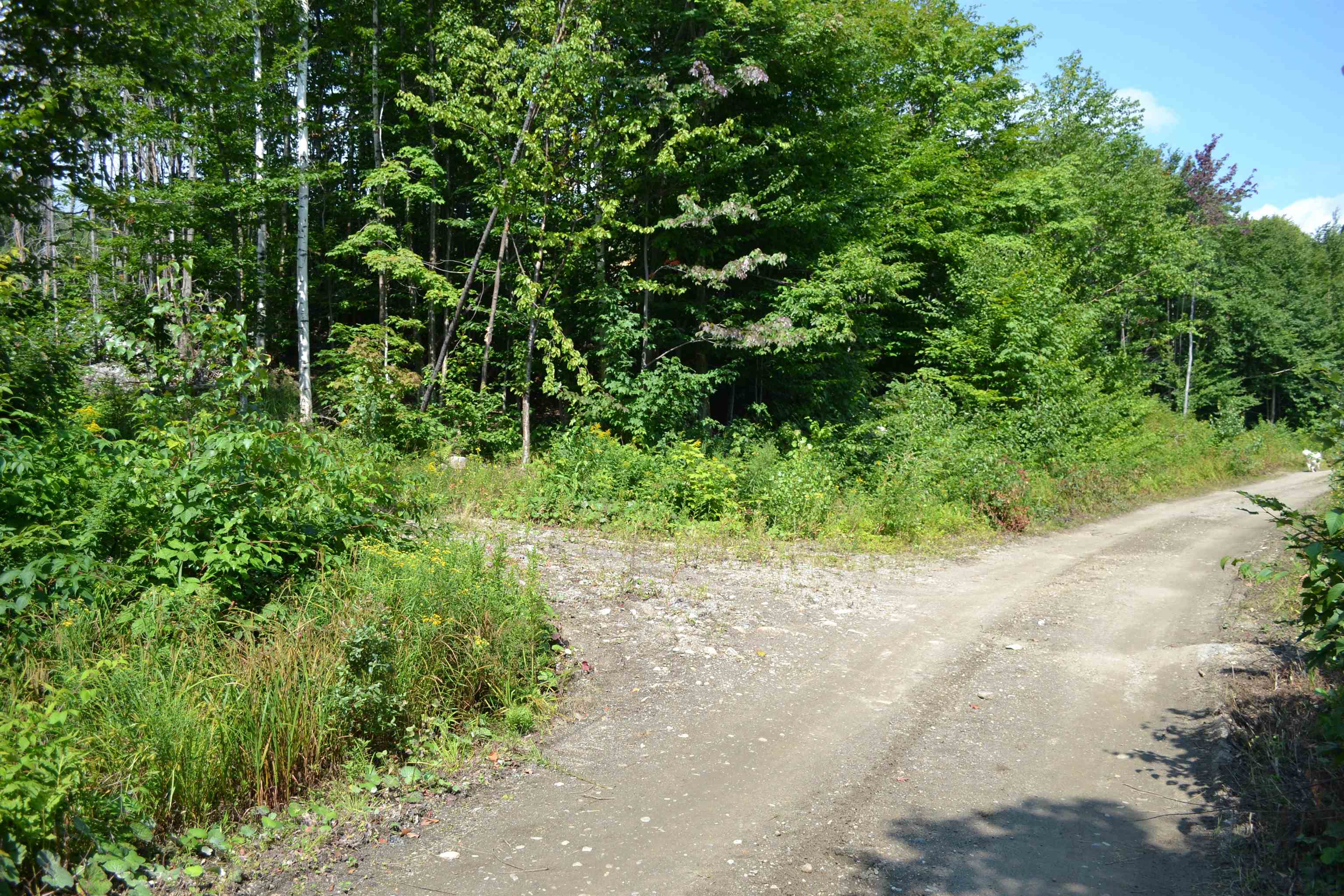 1767.3 Stevens Mill Road, Unit 3 Jay, VT 05859 - Photo 14 of 15 Gallery Image 14