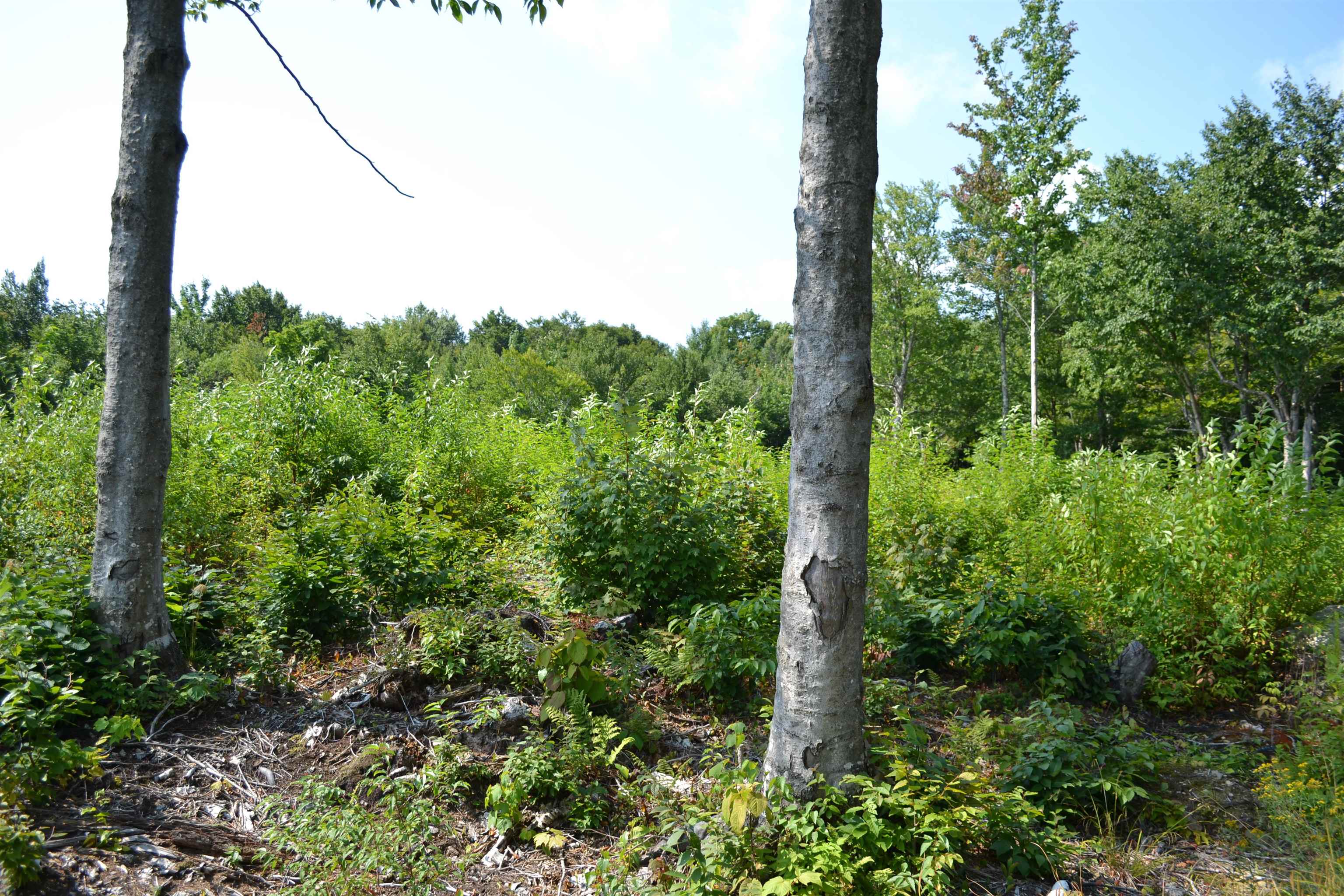 1767.3 Stevens Mill Road, Unit 3 Jay, VT 05859 - Photo 3 of 15 Gallery Image 3