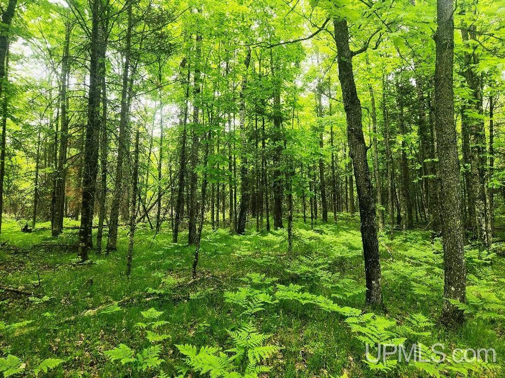 Lot 5 Wilderness Way Road Crystal Falls, MI 49920 - Photo 20 of 25